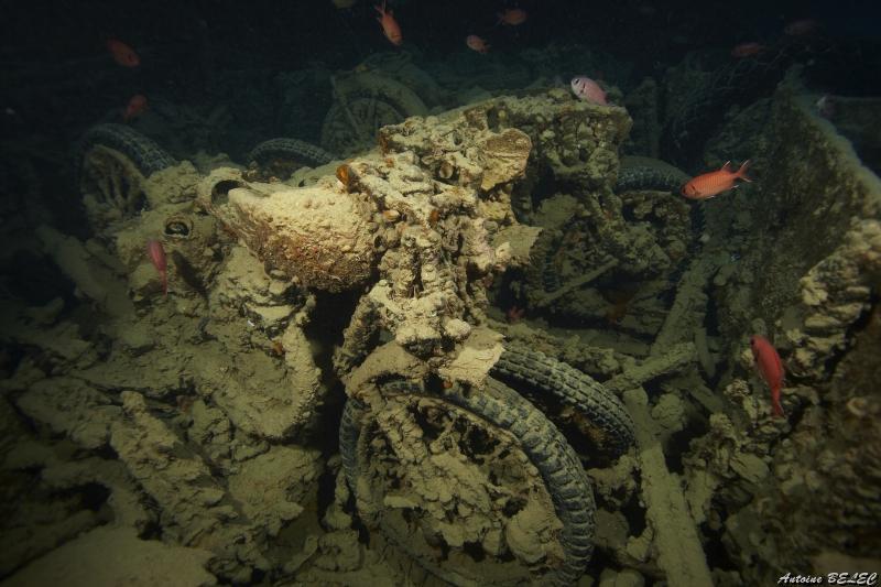 b (4) thislegorm.jpg
